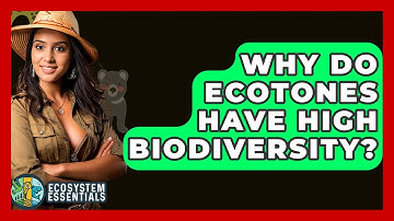 Why Do Ecotones Have High Biodiversity? - Ecosystem Essentials