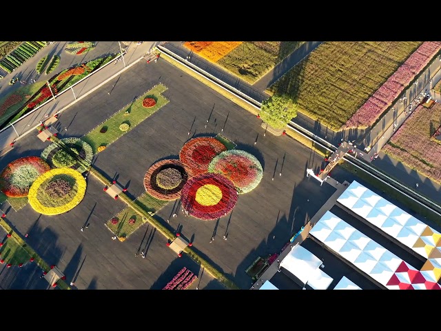 天際影相工作室 -  天際影相工作室 -