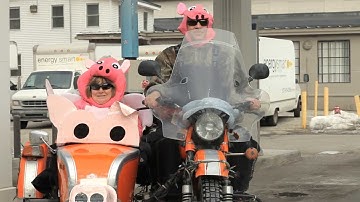 Northfield Savings Bank - When Pigs Fly