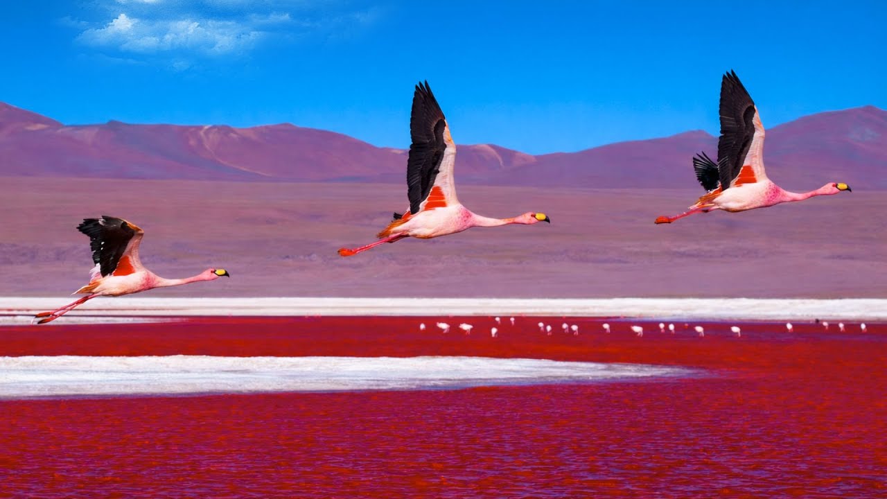 Desierto de Atacama: Lo que la tierra más árida del mundo aún esconde