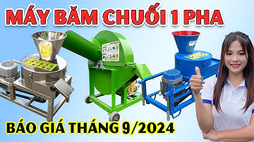 BÁO GIÁ Tháng 9 Máy Băm Chuối Đa Năng Bình Quân Mới Nhất 2024
