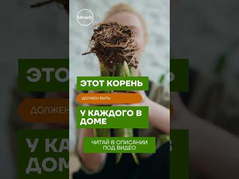 Этот Корень Должен Быть у Каждого!