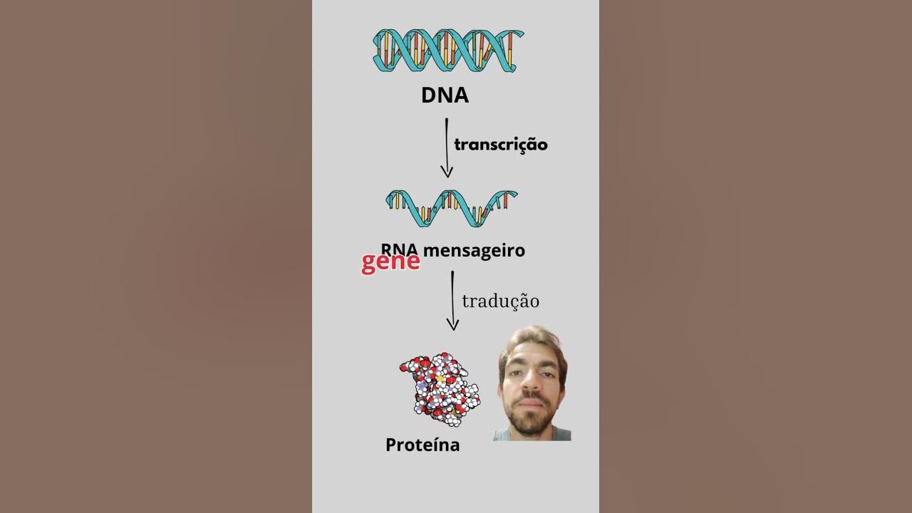 Nobel de Medicina 2024. nobelprize medicine diadomédico bioquímica