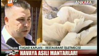 Atv Haber Yaşar Kaplan Şapka Mantarı