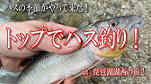 コアユ釣り ハス釣り 初夏の琵琶湖流入河川の風景 Youtube