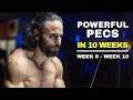 Powerful Pecs in 10 Weeks | Week 9 - Week 10