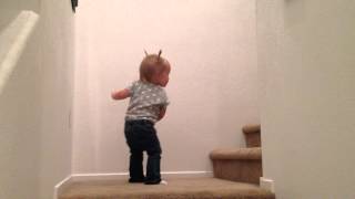 IMG 6761