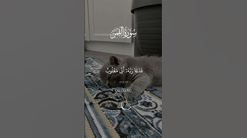 فدعا ربه أني مغلوب فانتصر 🤍 #سورة_القمر #قرآن #quran #islamicstatus #alquranulkarim #islamicvideo