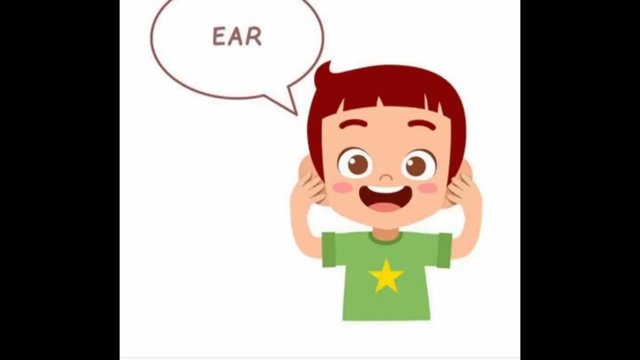 Bodys name parts of body for small kids YouTube