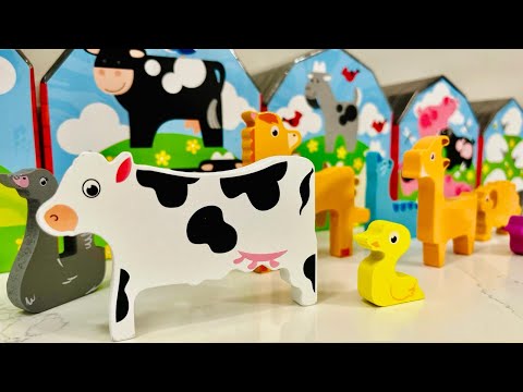 Learn Animals Shape Puzzle | Preschool Toy Learning Video