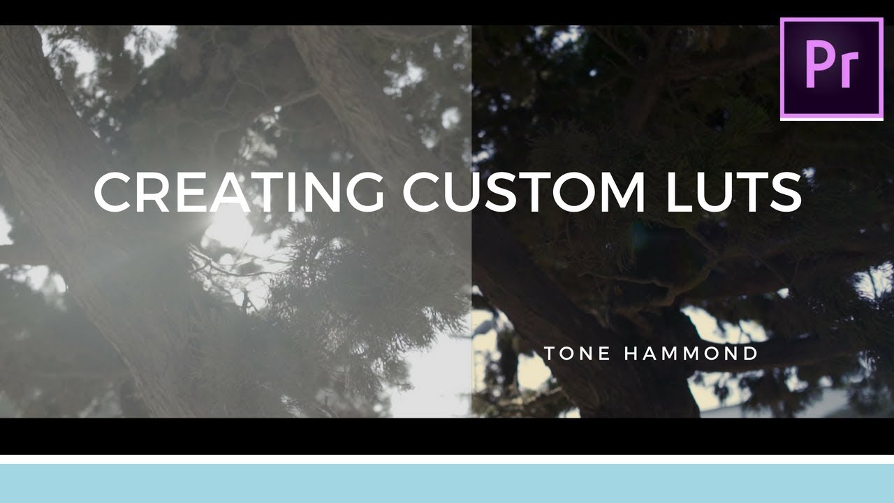 How to CREATE and Save Your Own LUTS(LOOKS) inside of ADOBE Premiere