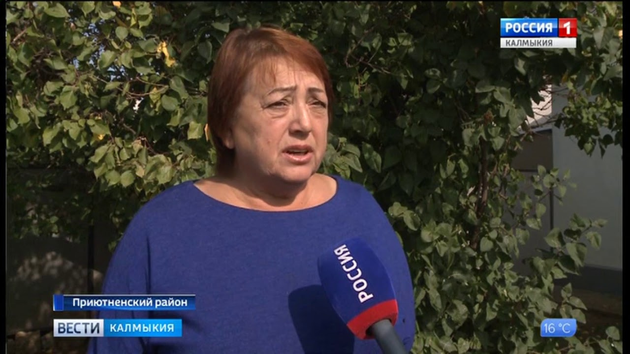 Гисметео приютное калмыкия. Гисметео приютное калмыкия. Мальтинов джигмид викторович мчс. Гисметео приютное калмыкия. Гисметео приютное калмыкия.