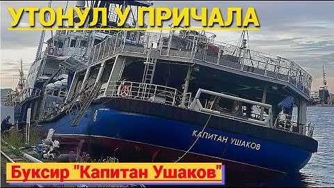 Новейший корабль ВМФ России УТОНУЛ прямо у причала! Халатность или диверсия?