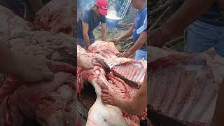 Kinastar na Ang Baboy #viral #shortvideos #viralvideo