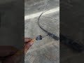 #Solar Wiring Disaster!⚡ Loose Points = Burnt Wires & Solar Panels Can Catch Fire! 🔥 #SolarPanelFire