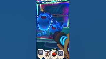 Ringtail rock slimes are the cutest things