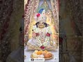 bahut sari mithai laddu gopal ke liye💙 khatu Shyam ji ke bhajan 2026 #shortsfeed #khatushyam