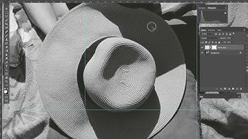 How to Remove Dust from a Digital Scan of a Film Negative in Photoshop