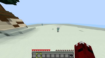 Hive Hacker Report / 4everhelpq8 / Fly Hack