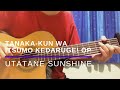 Utatane Sunshine - Unlimited Tone - Tanaka-kun OP (Solo Guitar Cover) [TABS]