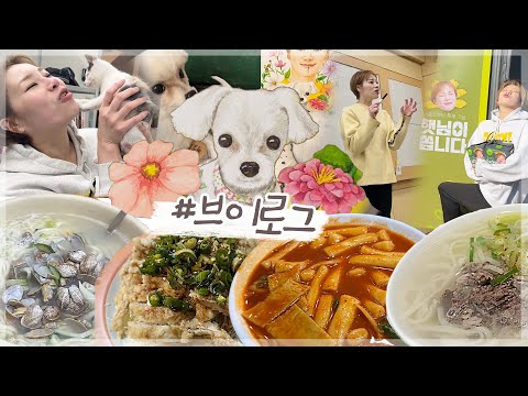 대학교 강연하고 왔습니다😎 겨울에 더 생각나는 단골각 동네 맛집들🥄 끝나지 않는 햇&amp;<strong>amp</strong>;뭬 듀엣 도전기🎤🎶 햇싸리에게 받은 소중한 선물💕231229 🎬<strong>12월</strong> 브이로그