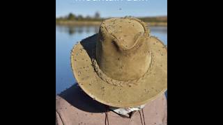 Mountain Dam Caenis Hatch