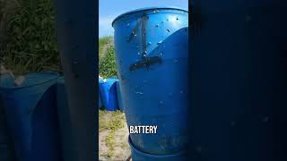 Primary Arms Nova Still Dominates In 2026