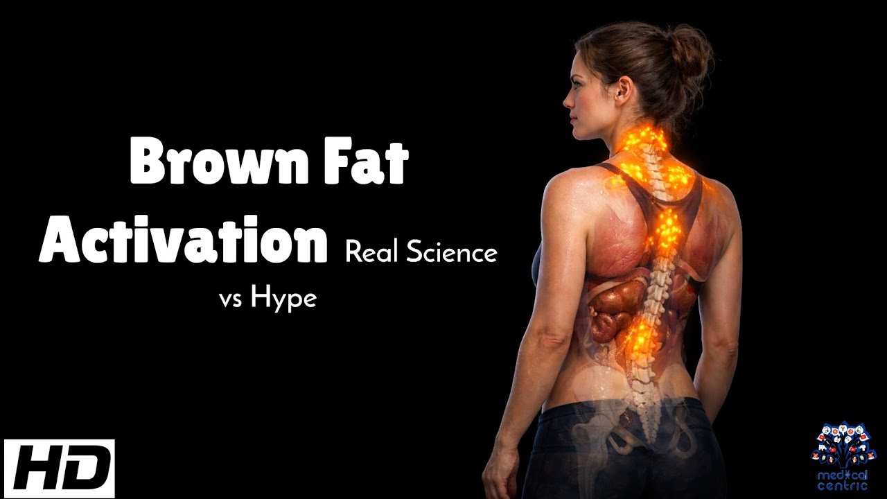 Brown Fat Activation : Real Science vs Hpye - YouTube