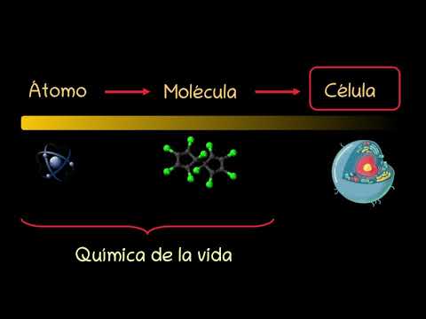 Vídeo: Com Aplicar Els Vostres Coneixements De Química A La Vida