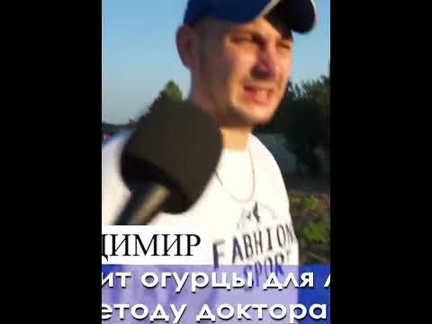Это Владимир 😀 #россия23 😂 #shorts