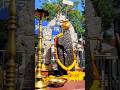 jay sani dev #devotional #status #shortvideos