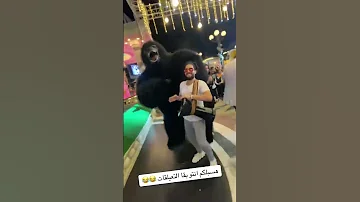بص الغوريلا بترقص ازاى اكسبلور ارقص Funny جديدي Panda حلات تيك توك ايقنت فولو 