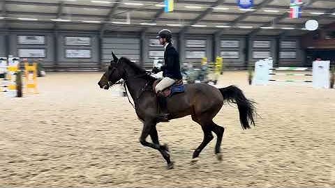 Only one v eldorado x mermus r @1m30 Tolbert 