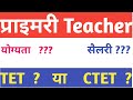 प्राइमरी का टीचर कैसे बने | how to become a primary teacher | primary teacher kaise bane |primary |