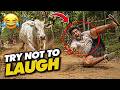 Try Not To Laugh 🤣 Best Funny Videos Compilation | Memes, Epic Fails &amp; Pranks 2026