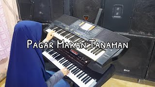 Pagar Makan Tanaman (Mansyur S) Karaoke | Latihan Keyboard KN 1400 & Korg PA 700