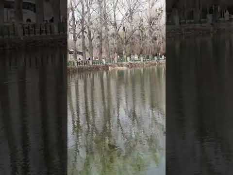 ما أجملك يا مدينة الجمال نعم أعلم أن كل من جاء زيارتا لك يحبك