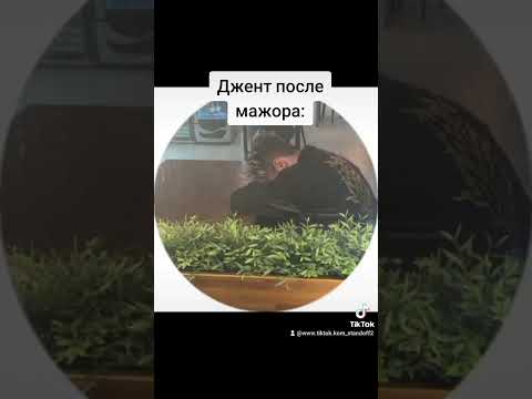сейнс проиграли мажор #джент #сейнс #жалко #мажор