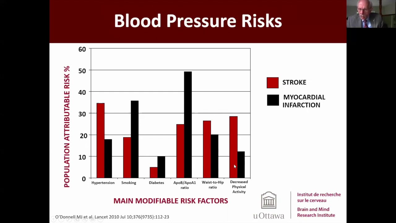 Controlling Correcting Elevated Blood Pressure YouTube