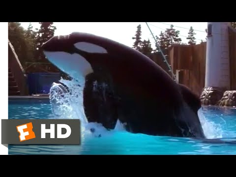 Free Willy (1993) - A Very Special Case Scene (2/10) | Movieclips