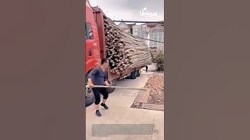 Unloading bamboo: people unloading bamboo from a truck
