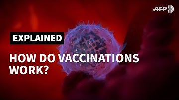 How do vaccines work? | AFP