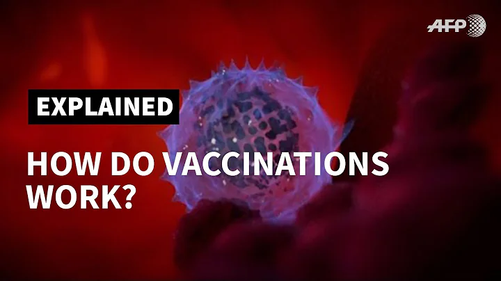 How do vaccines work? | AFP
