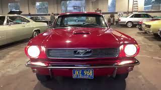 1966 Ford Mustang 302 5 - Speed For Sale @ Affordable Classics Inc
