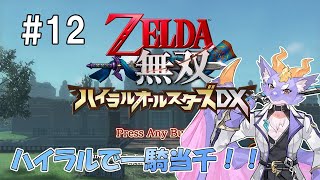 【ゼルダ無双 ハイラルオールスターズDX】ハイラルの世界で一騎当千！ #12
