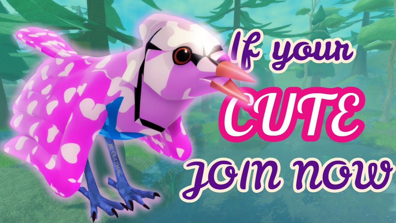 The Feather Family CUTE Flocks... YouTube