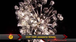 CGF 1341