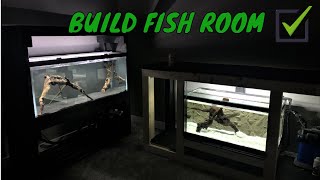 Fish Room Build part 2 ( Revealing Fish Room and Stands )