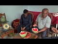 Paroles Agricoles - Melon d'eau en serre Partie 2