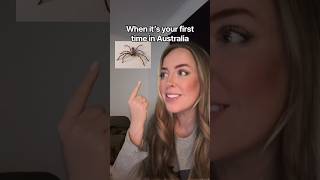 Australians love a house huntsman #australia #aussiethings #lifeinaustralia #YTRISEAUNZ